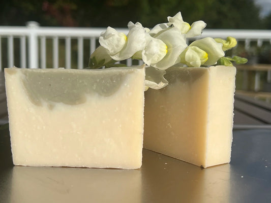 Cedarwood & Fir Wagyu Tallow Soap